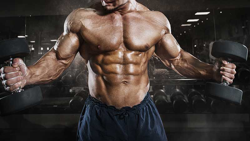 Allenarsi in palestra per aumentare la massa muscolare. Sì... ma quanto, e quando?