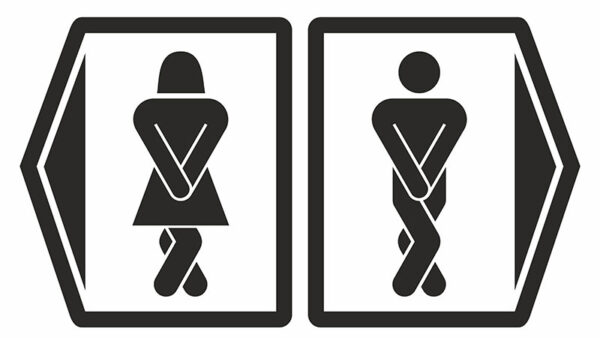 Come sempre dopo gli stati uniti tocca a noi. “A Reggio Emilia arrivano le toilette gender free”