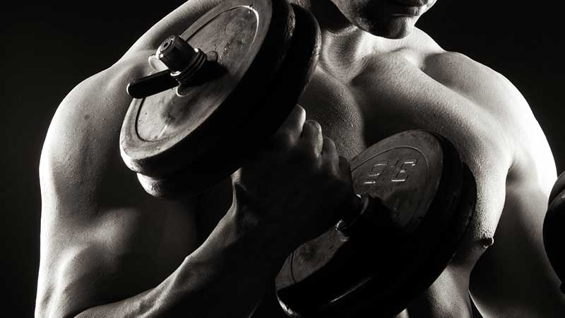Principi di base nell'allenamento per la massa muscolare
